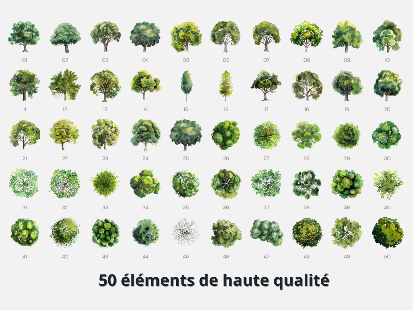 Pack complet - style aquarelle (150 éléments)